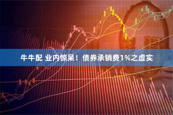 牛牛配 业内惊呆！债券承销费1%之虚实