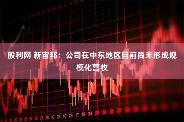 股利网 新宙邦：公司在中东地区目前尚未形成规模化营收