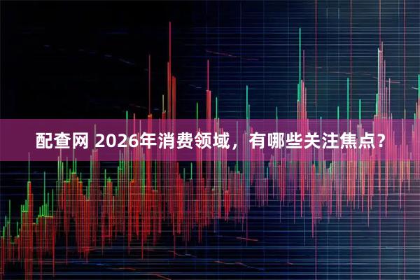 配查网 2026年消费领域，有哪些关注焦点？