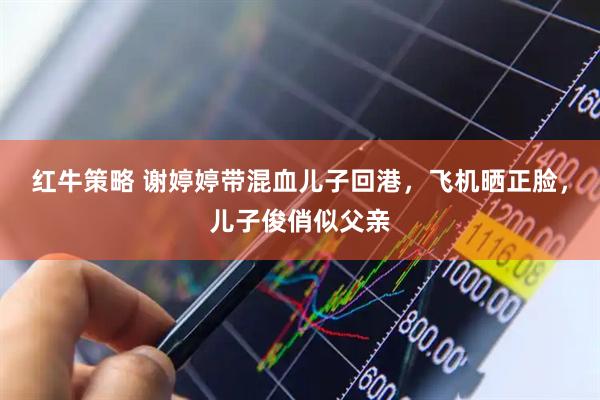 红牛策略 谢婷婷带混血儿子回港，飞机晒正脸，儿子俊俏似父亲