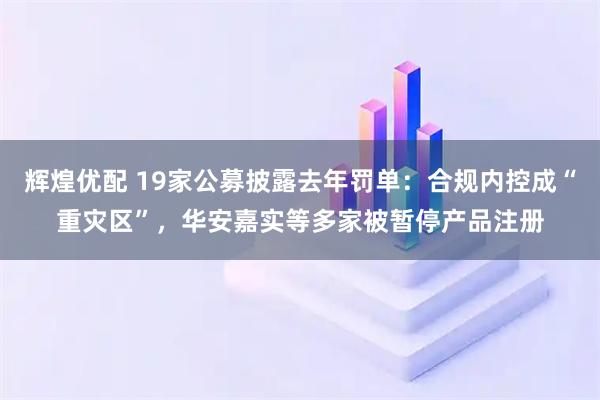 辉煌优配 19家公募披露去年罚单：合规内控成“重灾区”，华安嘉实等多家被暂停产品注册