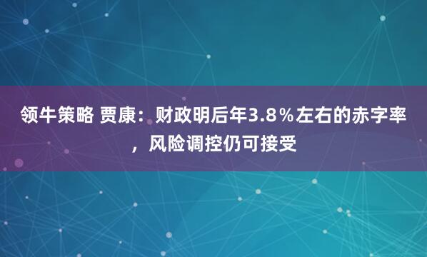领牛策略 贾康：财政明后年3.8％左右的赤字率，风险调控仍可接受