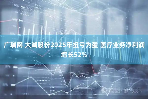 广瑞网 大湖股份2025年扭亏为盈 医疗业务净利润增长52%