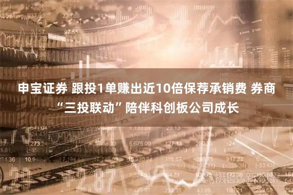 申宝证券 跟投1单赚出近10倍保荐承销费 券商“三投联动”陪伴科创板公司成长