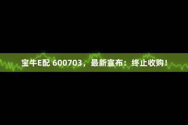 宝牛E配 600703，最新宣布：终止收购！