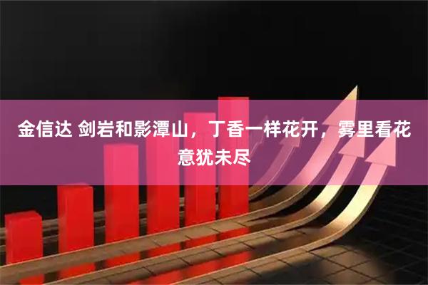金信达 剑岩和影潭山,丁香一样花开,雾里看花意犹未尽