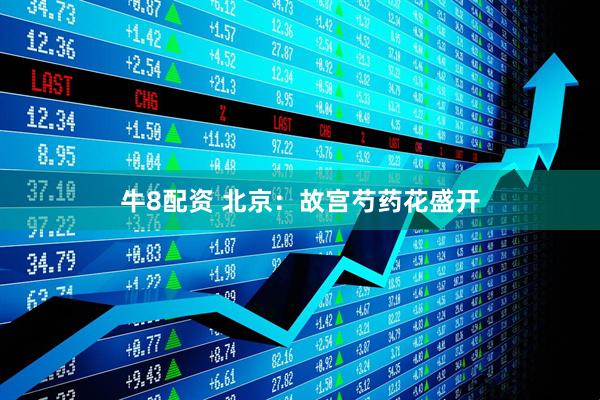 牛8配资 北京：故宫芍药花盛开