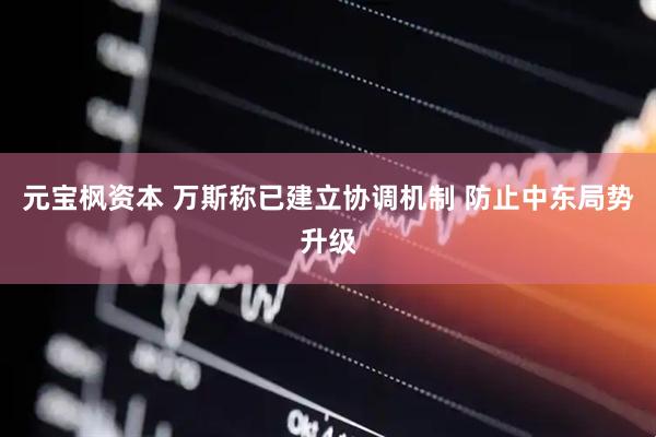 元宝枫资本 万斯称已建立协调机制 防止中东局势升级