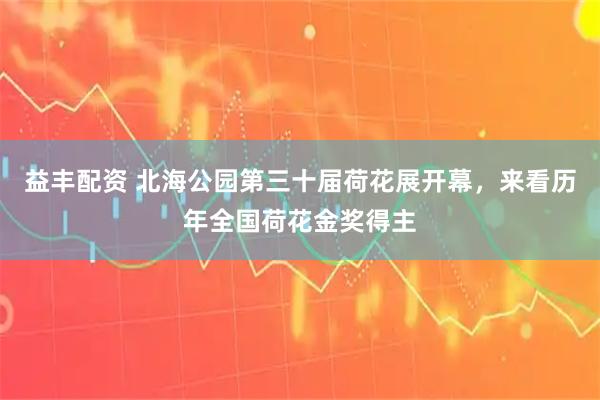 益丰配资 北海公园第三十届荷花展开幕，来看历年全国荷花金奖得主