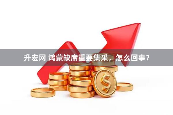 升宏网 鸿蒙缺席重要集采，怎么回事？