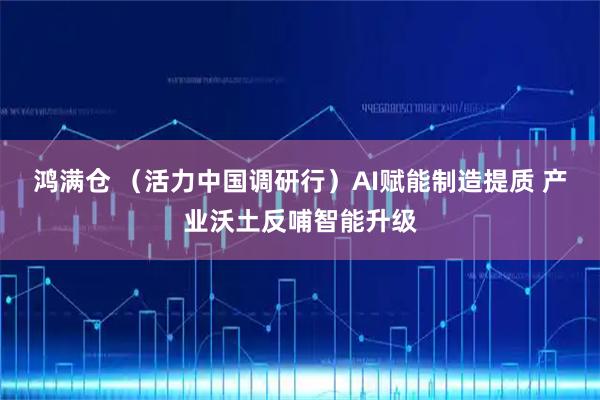 鸿满仓 （活力中国调研行）AI赋能制造提质 产业沃土反哺智能升级